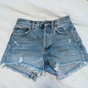 Agolde Vintage Parker Shorts *NEW w/ TAGS*